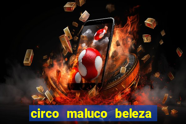 circo maluco beleza recife circo maluco